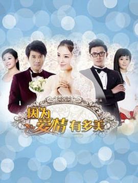 因为爱情有多美DVD